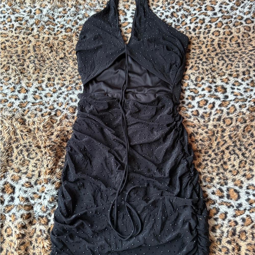 Windsor Black Backless Halter Dress